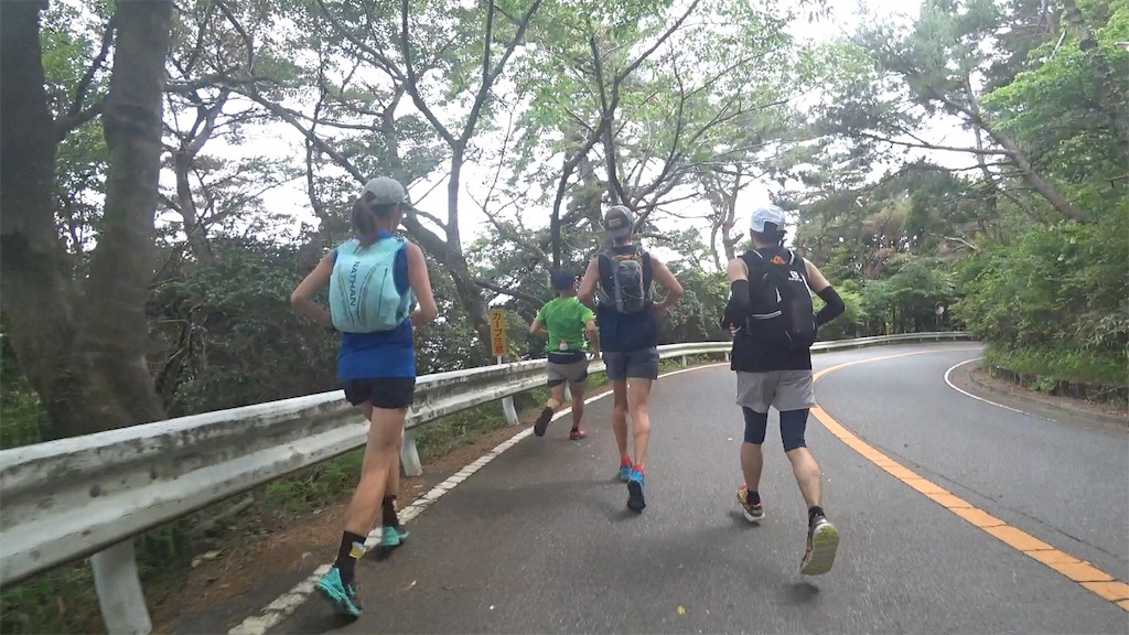 f:id:racinvan-tebi:20180607133330j:image f:id:racinvan-tebi:20180607133330j:image