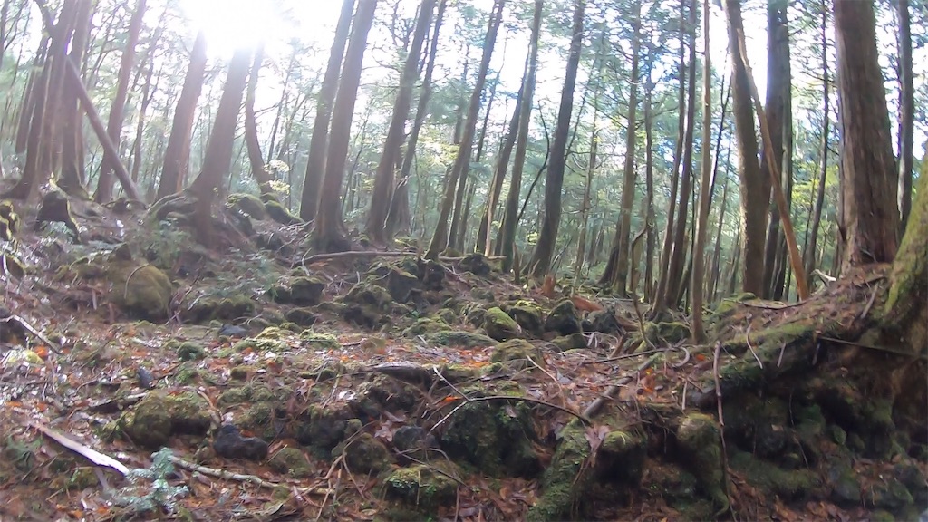 f:id:racinvan-tebi:20190503142106j:image f:id:racinvan-tebi:20190503142106j:image