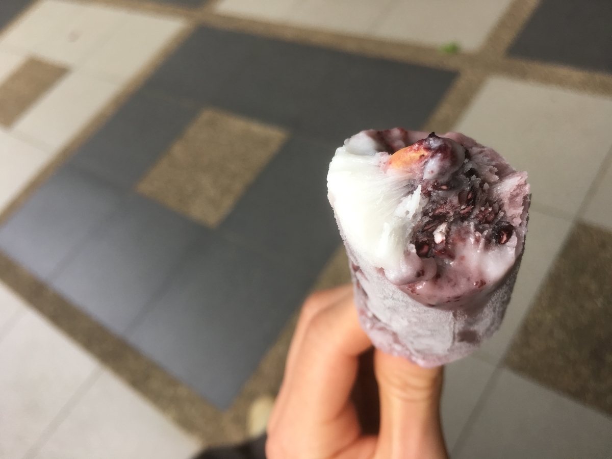 f:id:raco-tabi:20190521234454j:plain