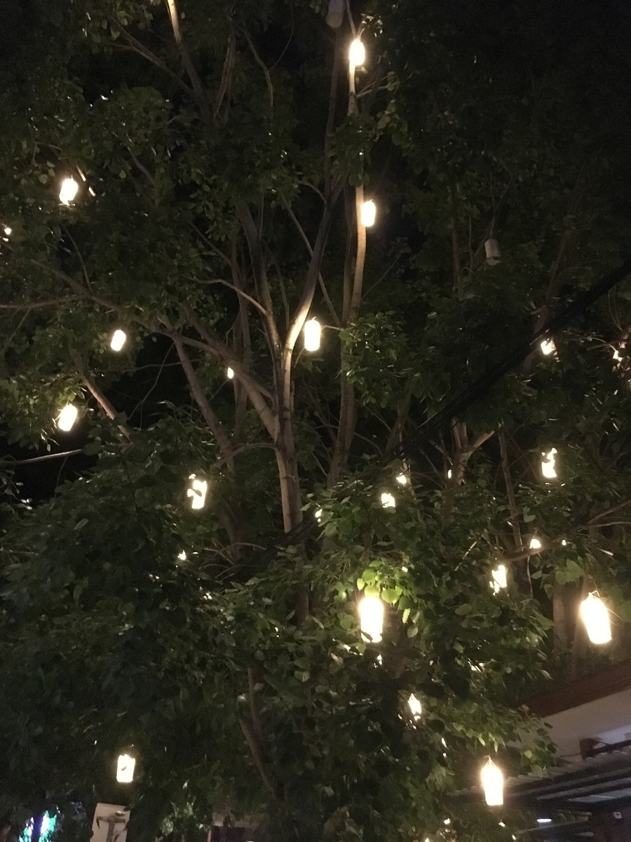 f:id:raco-tabi:20190525231336j:plain