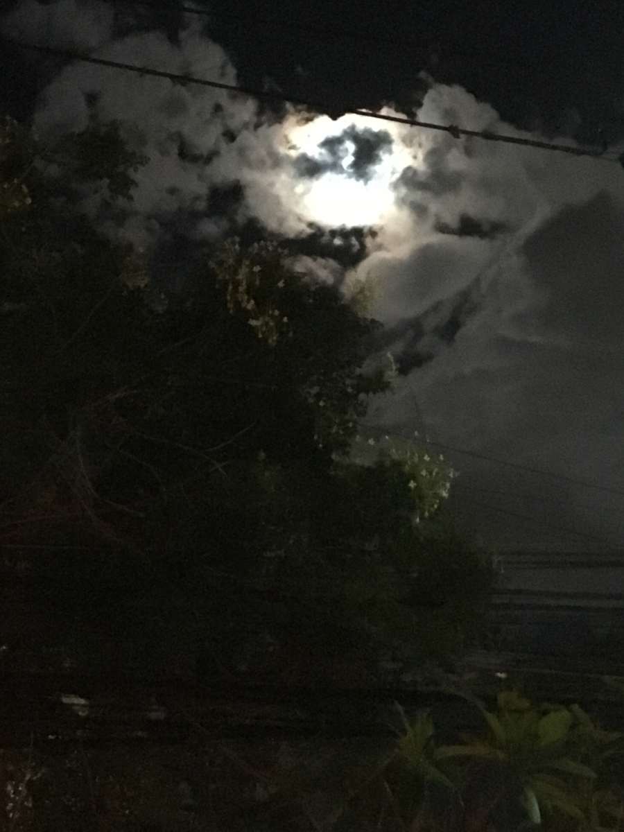 f:id:raco-tabi:20190525231355j:plain