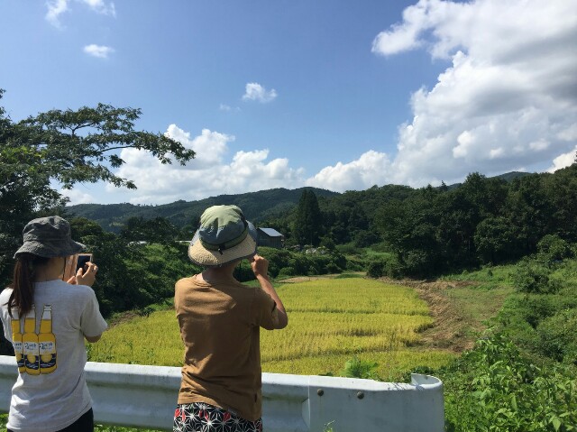 f:id:radiance-evolve:20170915124210j:plain f:id:radiance-evolve:20170915124210j:plain