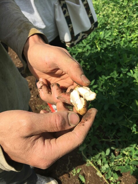 f:id:radiance-evolve:20170915124518j:plain f:id:radiance-evolve:20170915124518j:plain