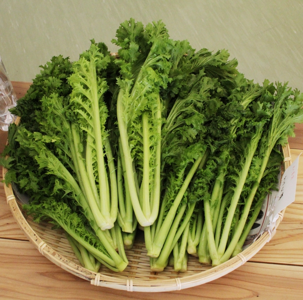 f:id:radiance-evolve:20170930144740j:plain