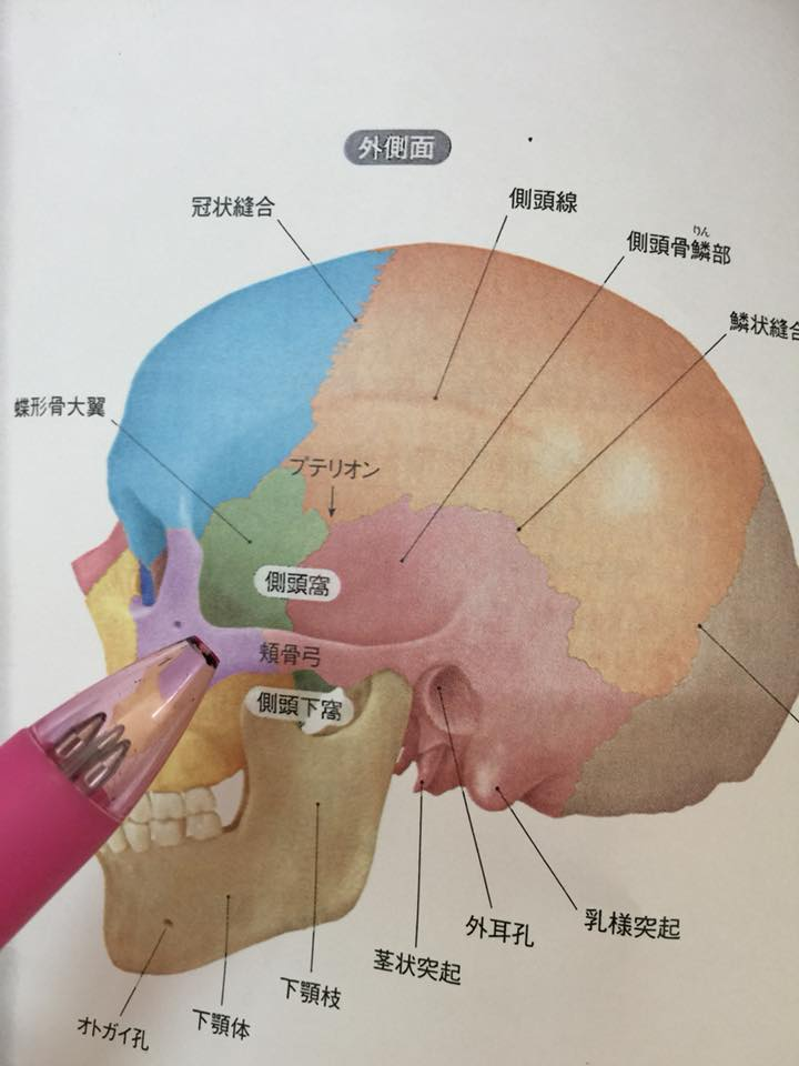 f:id:radiance-evolve:20171006115248p:plain