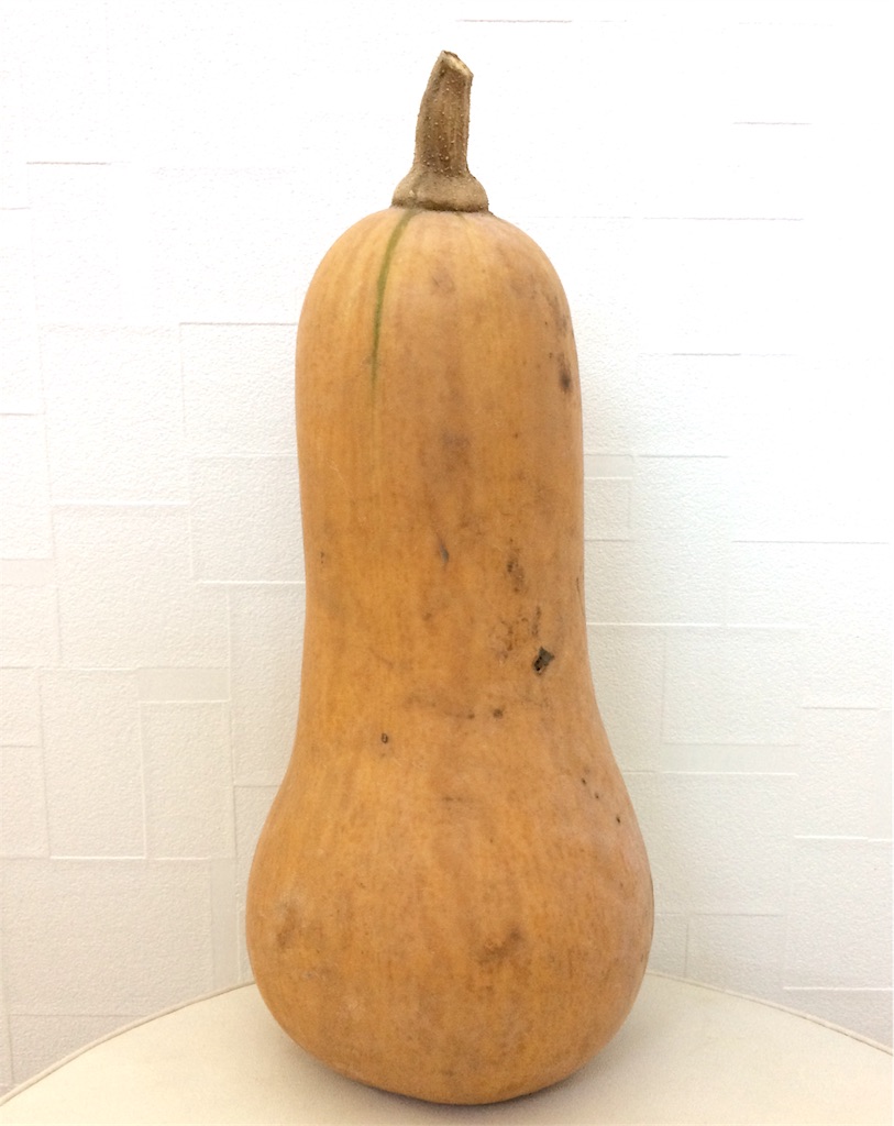 f:id:radiance-evolve:20171222125649j:image