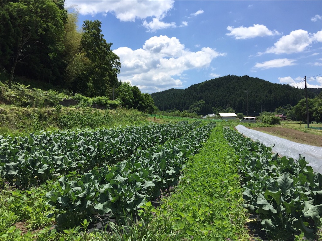 f:id:radiance-evolve:20180424201954j:image