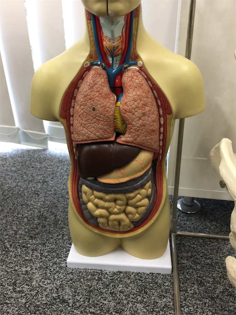 f:id:radiance-evolve:20180628134416j:image