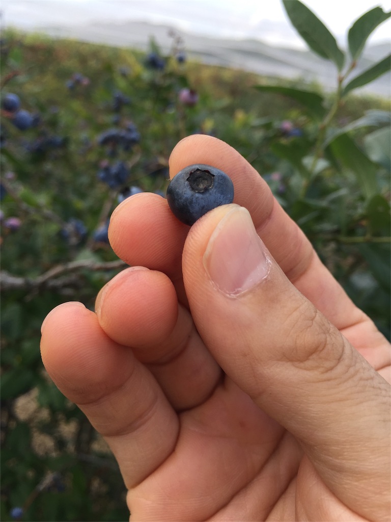 f:id:radiance-evolve:20180727100937j:image