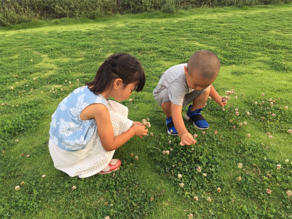 f:id:radiance-evolve:20180727101014j:image