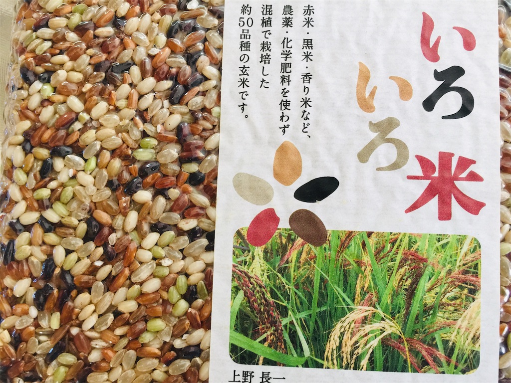 f:id:radiance-evolve:20181204144656j:plain