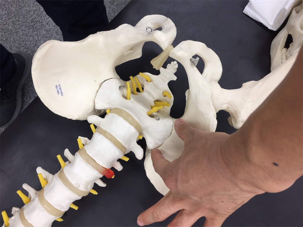 f:id:radiance-evolve:20181206182228j:image