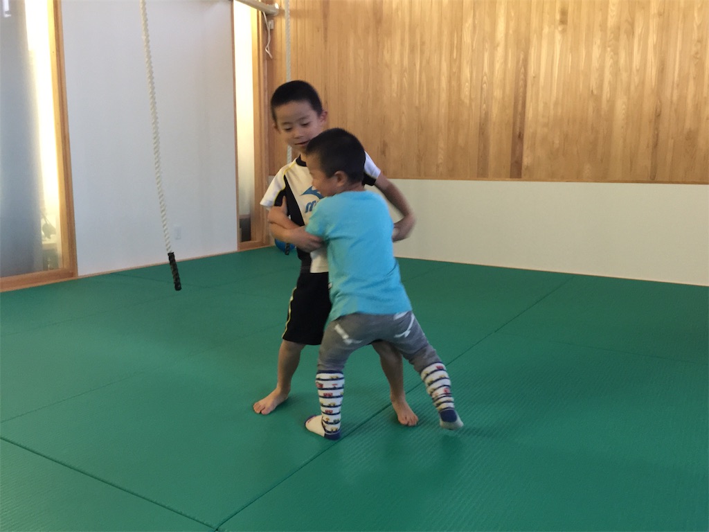 f:id:radiance-evolve:20181206182437j:image