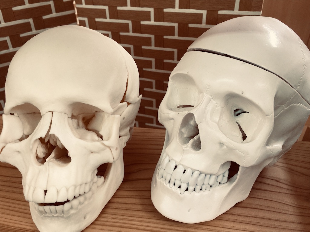 f:id:radiance-evolve:20181207125048j:image