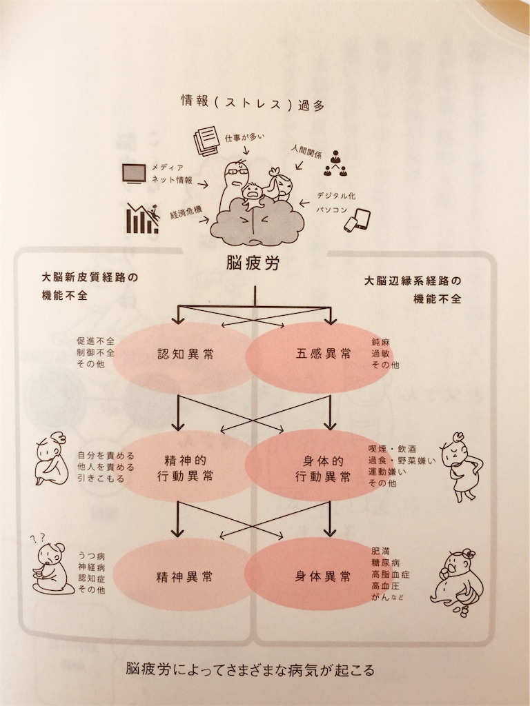 f:id:radiance-evolve:20181207125105j:image