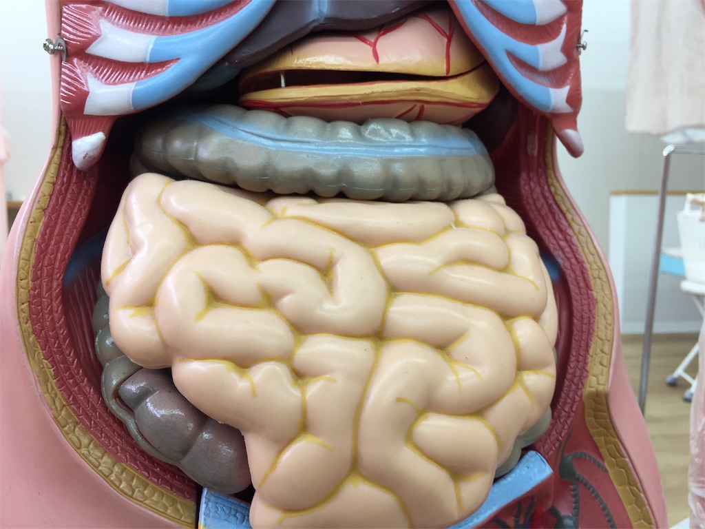 f:id:radiance-evolve:20181207125114j:image