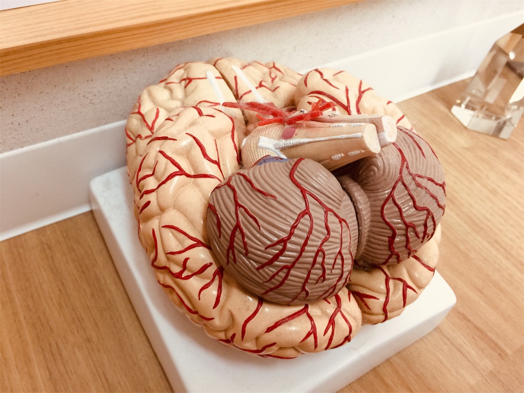 f:id:radiance-evolve:20181207125146j:image