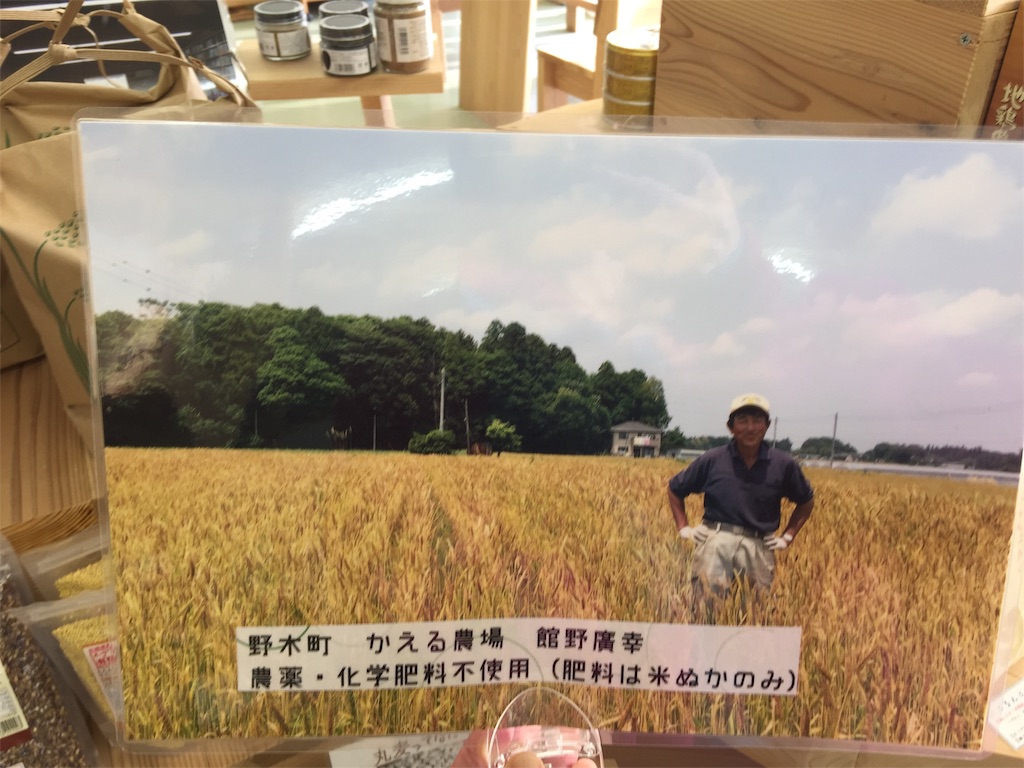 f:id:radiance-evolve:20190319175215j:image