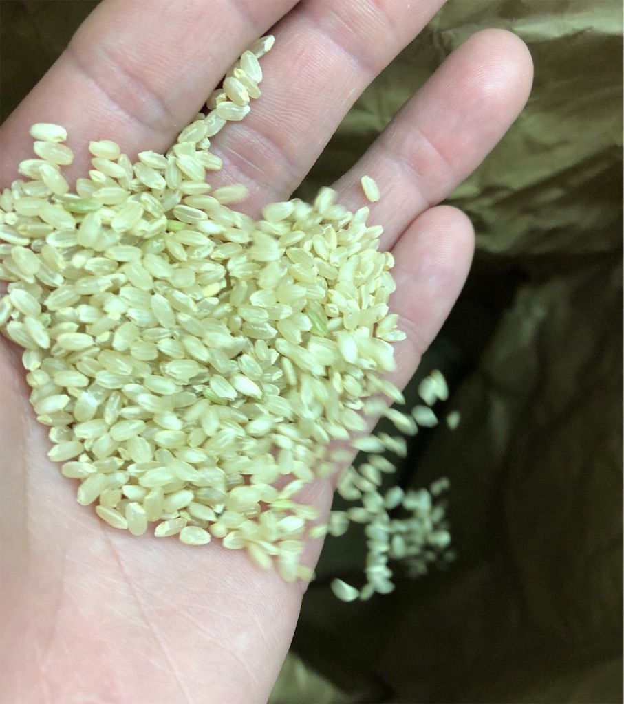 f:id:radiance-evolve:20190319175612j:image