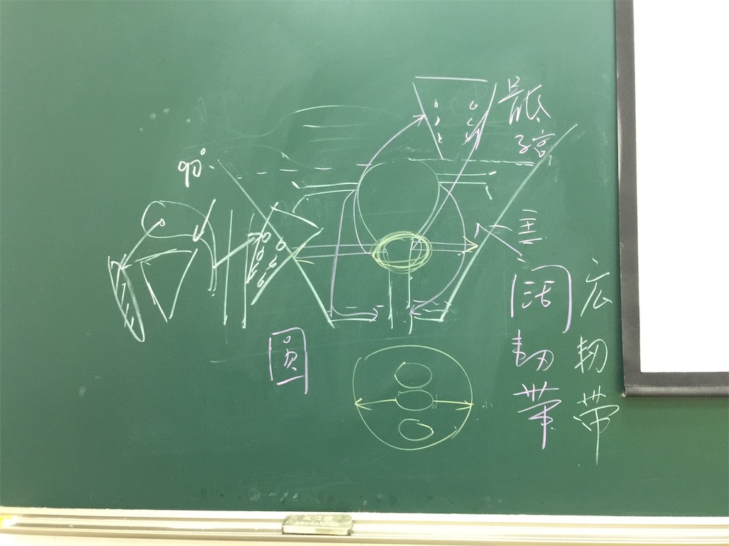 f:id:radiance-evolve:20190329082456j:image