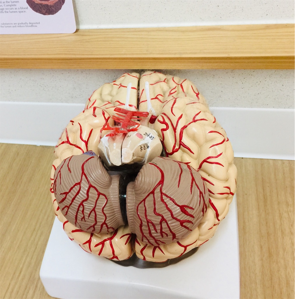 f:id:radiance-evolve:20190329090049j:image