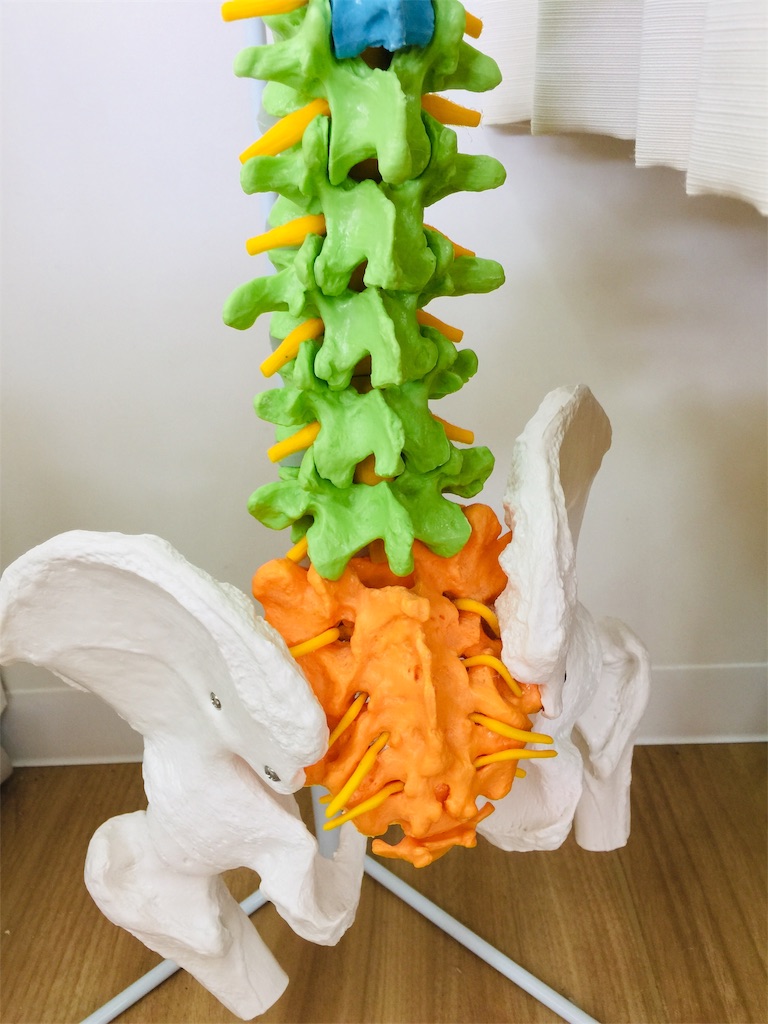 f:id:radiance-evolve:20190403094406j:image f:id:radiance-evolve:20190403094406j:image