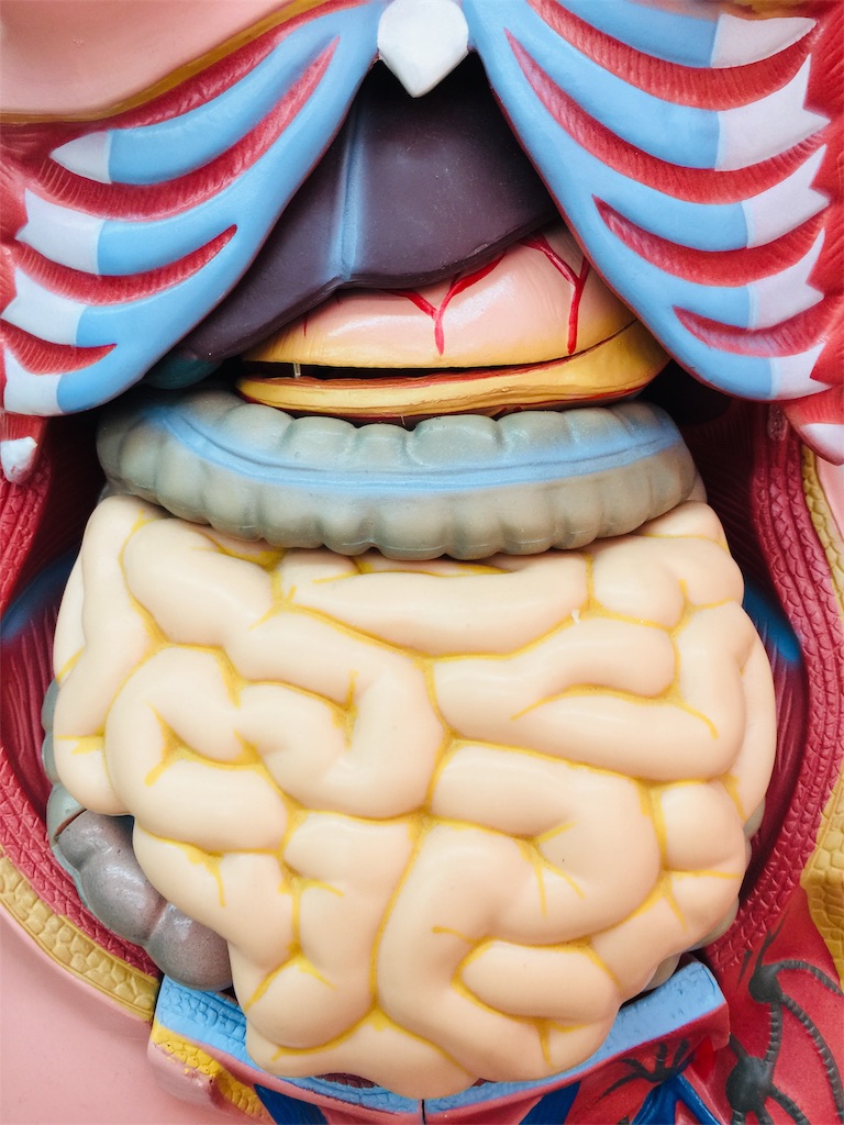 f:id:radiance-evolve:20190403094453j:image f:id:radiance-evolve:20190403094453j:image