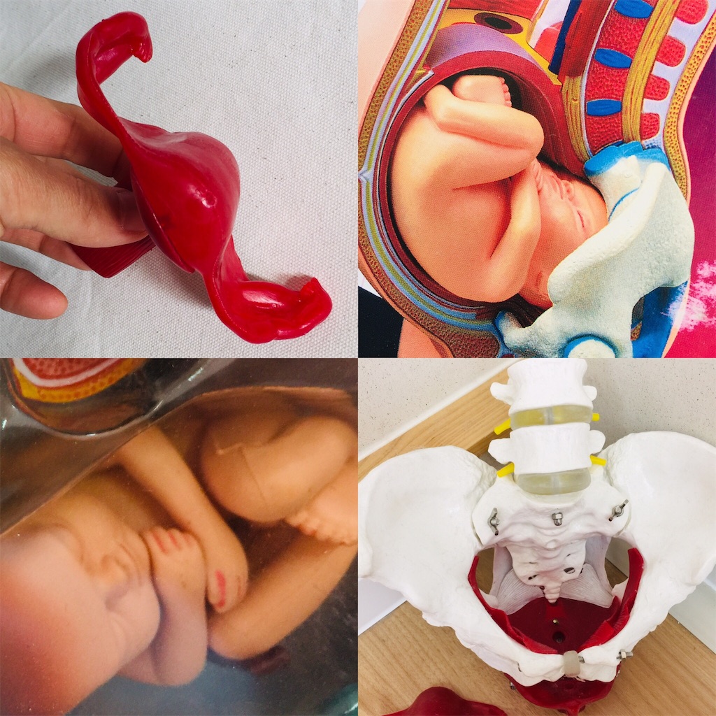 f:id:radiance-evolve:20190403094701j:image f:id:radiance-evolve:20190403094701j:image