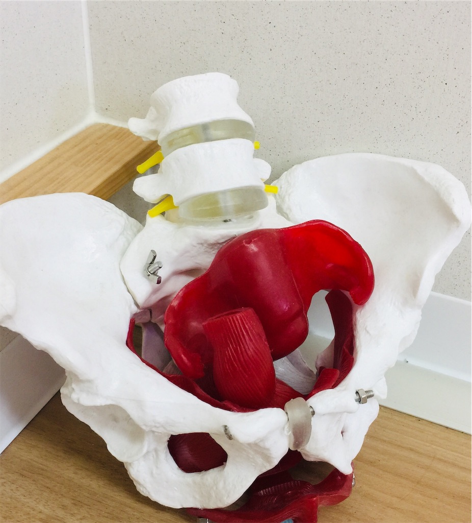 f:id:radiance-evolve:20190503122446j:image