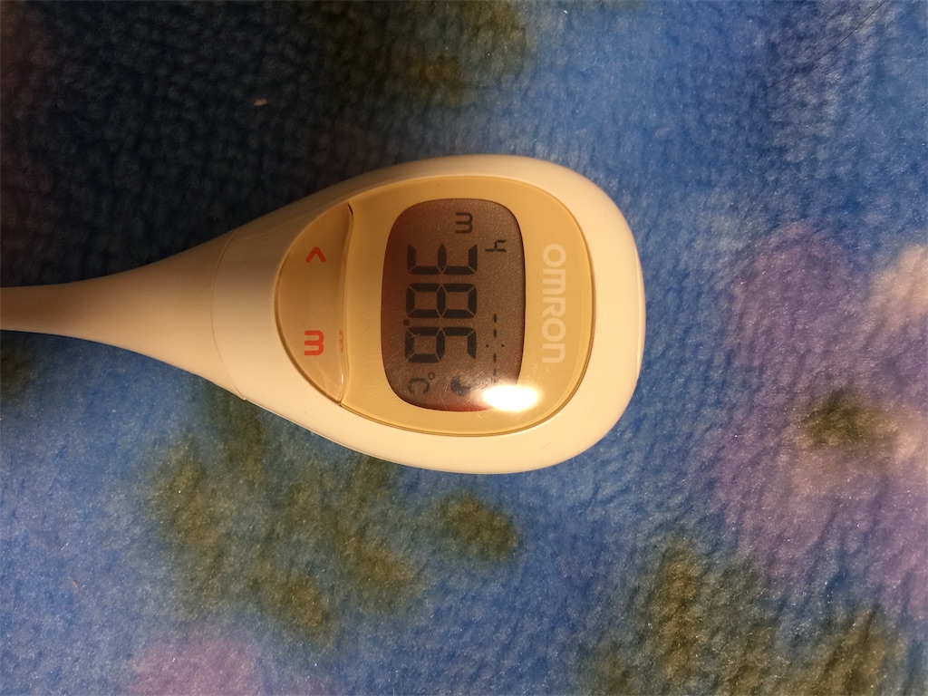 f:id:radiance-evolve:20190529154833j:image
