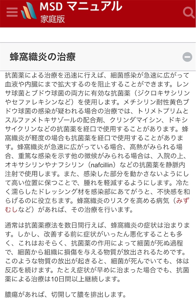 f:id:radiance-evolve:20190529171433j:image