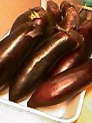 f:id:radicafe:20060116175403j:image f:id:radicafe:20060116175403j:image