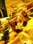f:id:radicafe:20070307191351j:image