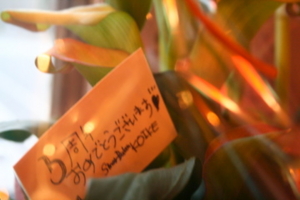 f:id:radicafe:20081115162252j:image f:id:radicafe:20081115162252j:image