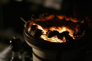f:id:radicafe:20091230003525j:image