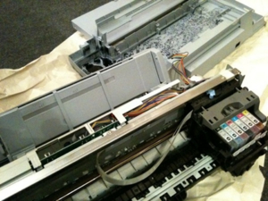 f:id:radicafe:20100403235208j:image f:id:radicafe:20100403235208j:image