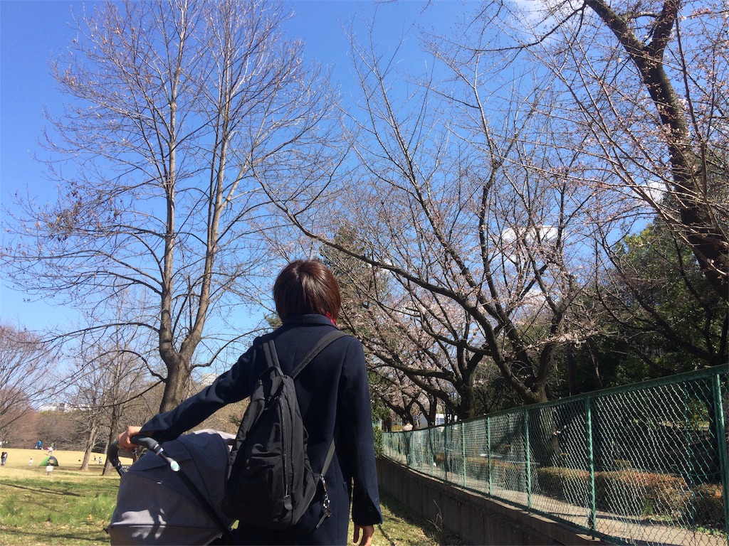 f:id:radin:20190324174117j:image