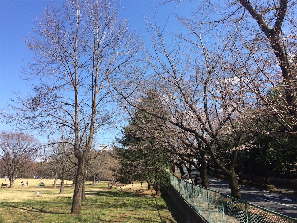 f:id:radin:20190324175114j:image