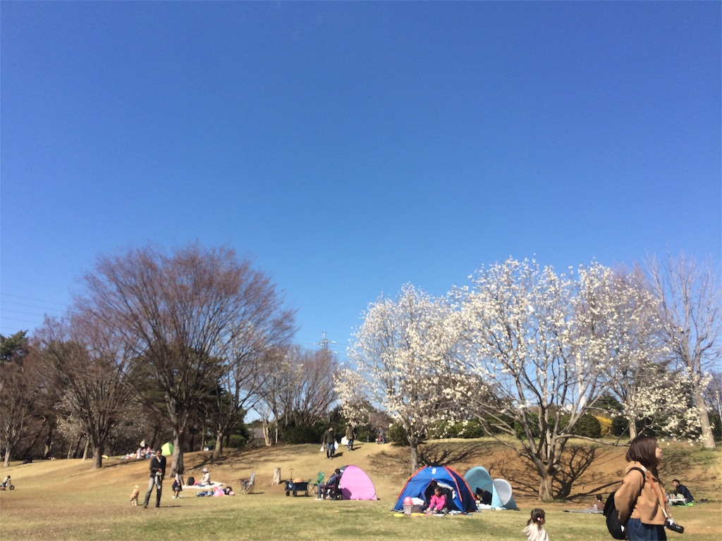 f:id:radin:20190324175232j:image
