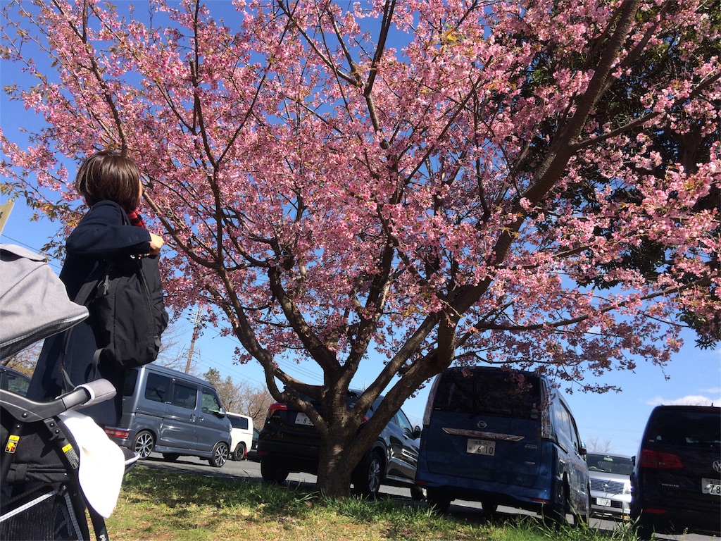 f:id:radin:20190324175651j:image