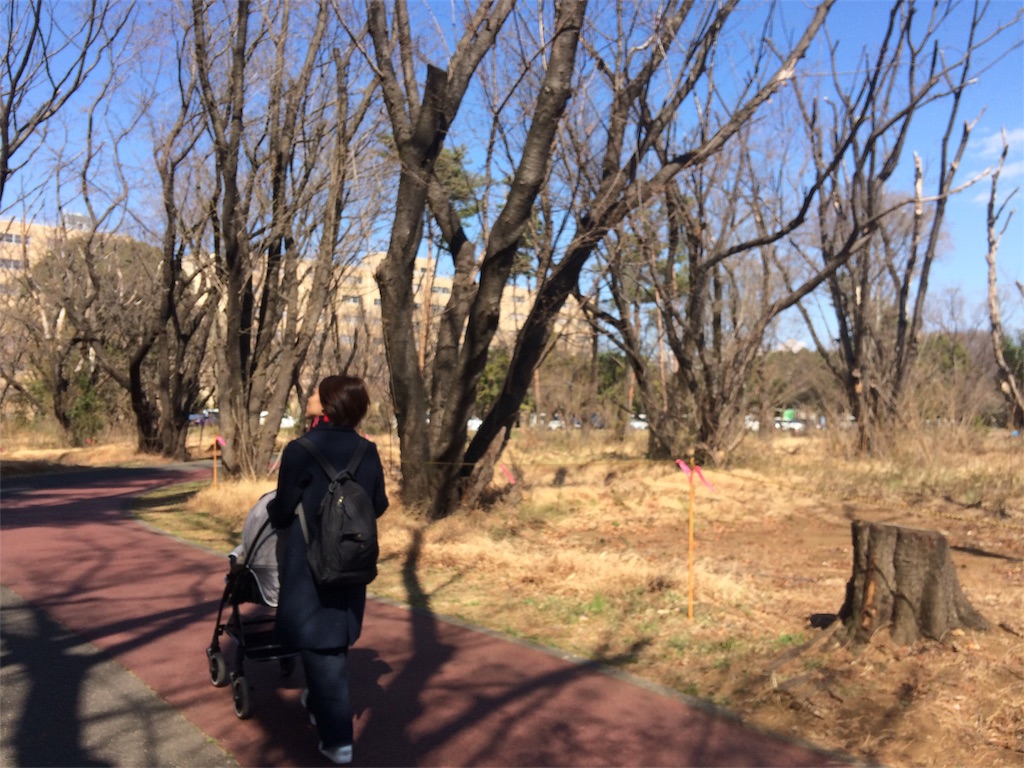 f:id:radin:20190324180252j:image