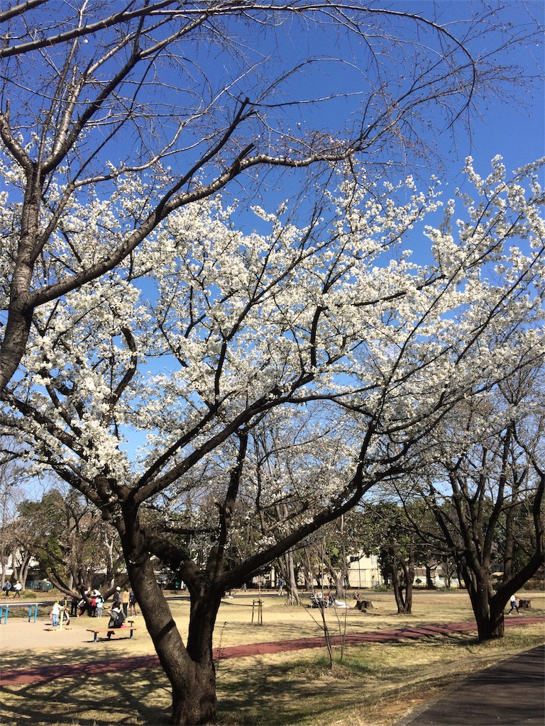 f:id:radin:20190324184255j:image