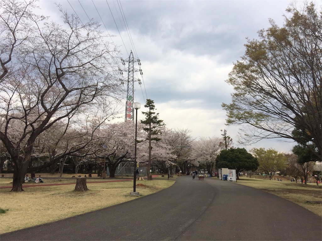 f:id:radin:20190402175438j:image