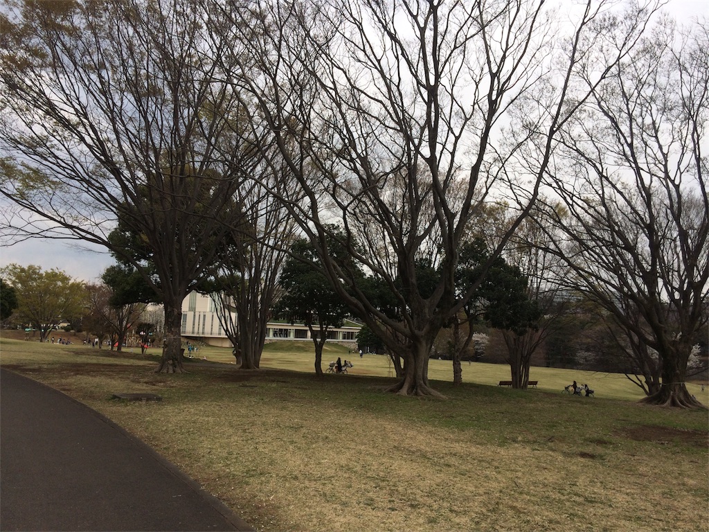 f:id:radin:20190402175656j:image
