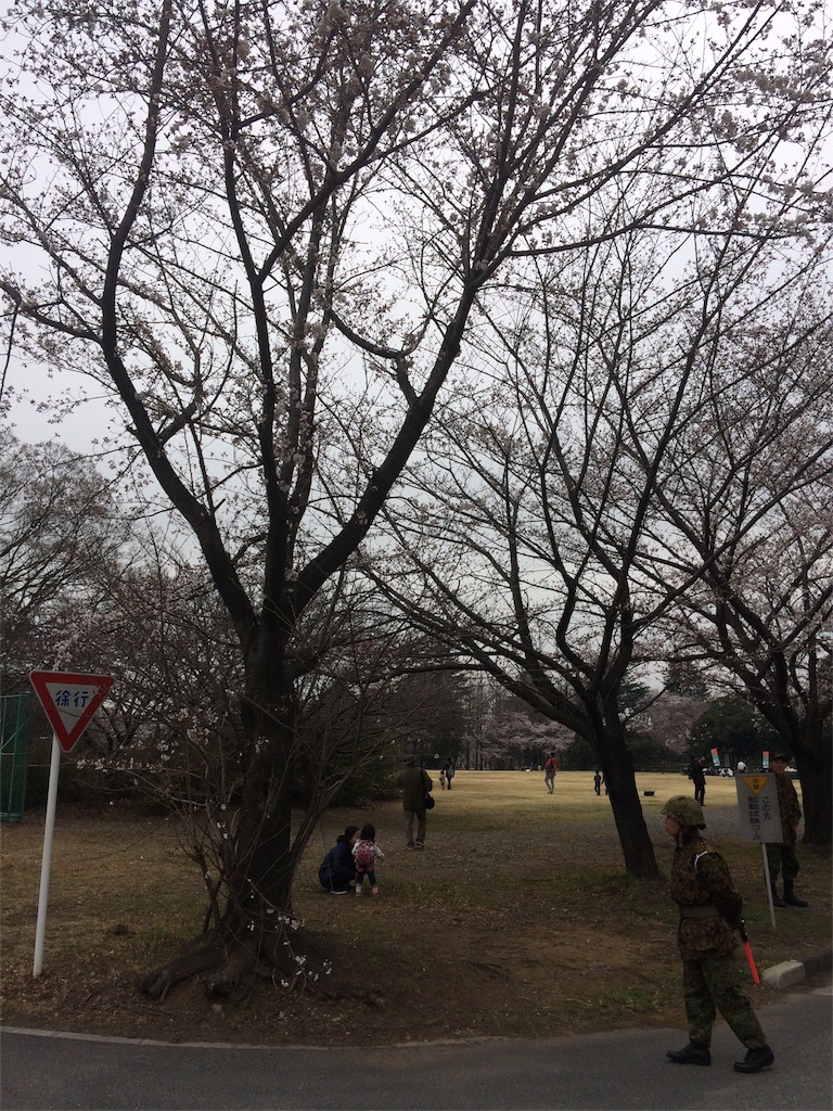 f:id:radin:20190402181521j:image