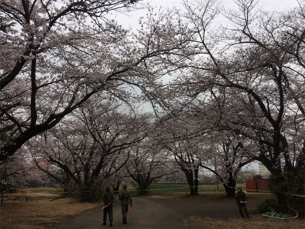 f:id:radin:20190404213315j:image