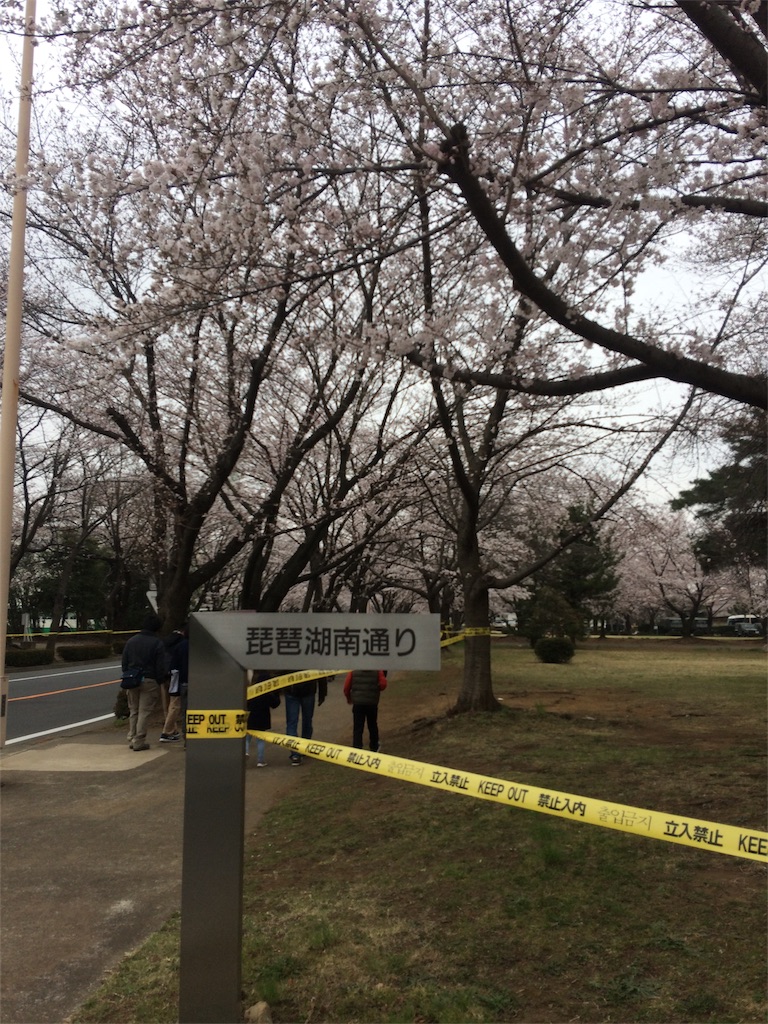 f:id:radin:20190404213654j:image