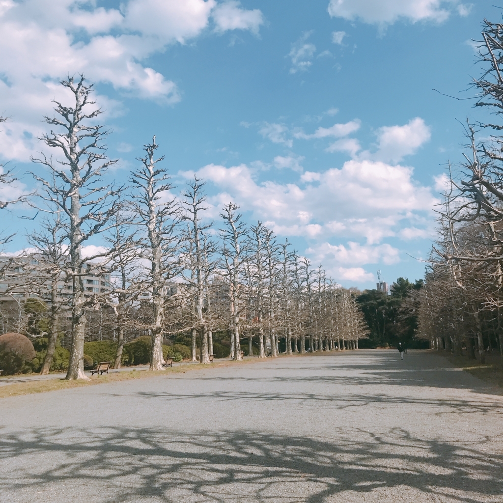 f:id:radiumoon:20180329003502j:plain f:id:radiumoon:20180329003502j:plain