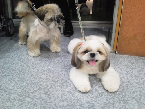 f:id:rafter:20120827193331j:image f:id:rafter:20120827193331j:image