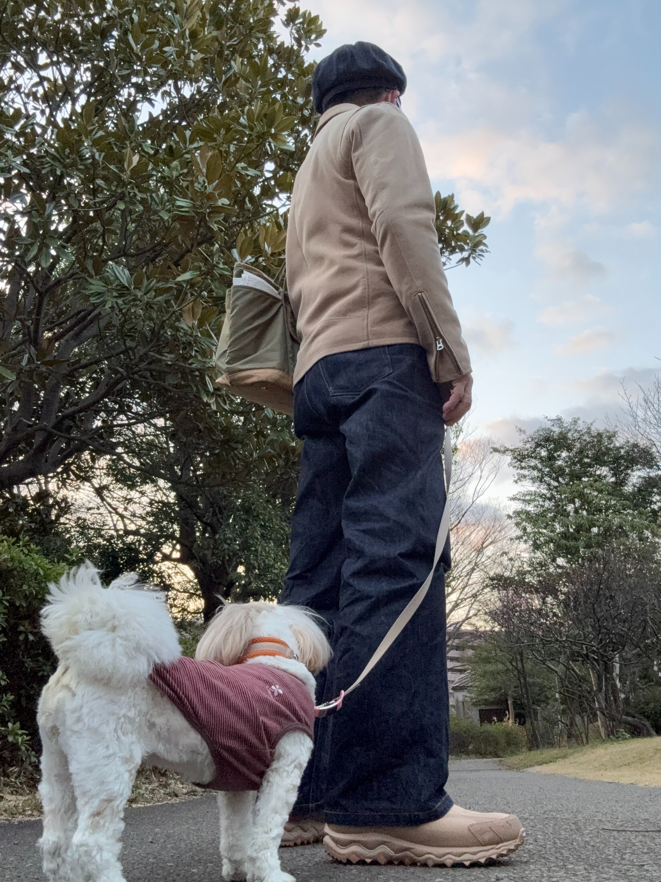 f:id:rafter:20260306115647j:image